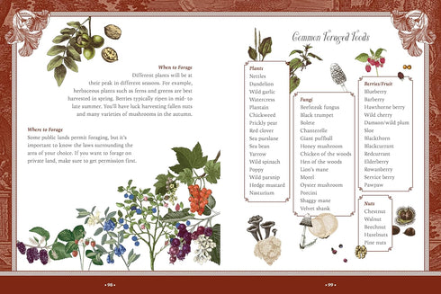 FOREST, FAIRIES, MUSHROOMS & GOBLINS STICKER, COLOR & ACTIVITY BOOK - CHARTWELL